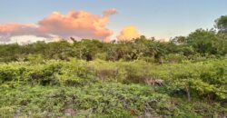 LOT 32 GREENWOOD ESTATES