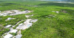 200 ACRES PALM BAY CLUB