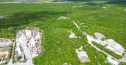 200 ACRES PALM BAY CLUB