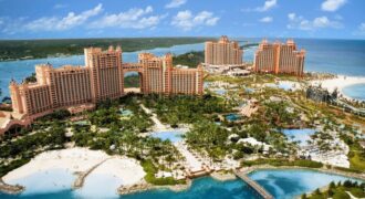 @ THE REEF AT ATLANTIS