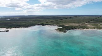 Cage’s Point Bluff