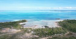 Cage’s Point Bluff