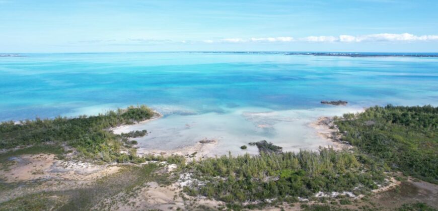 Cage’s Point Bluff