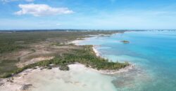 Cage’s Point Bluff