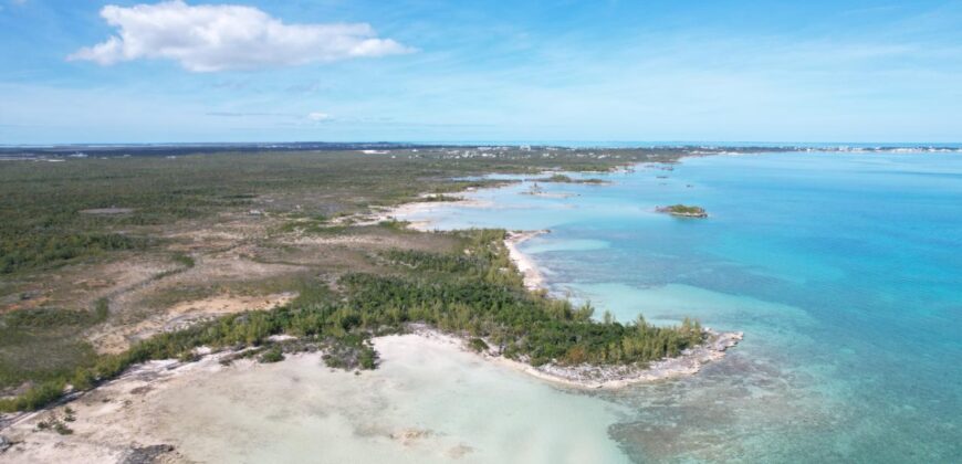 Cage’s Point Bluff