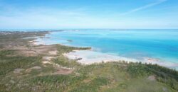 Cage’s Point Bluff