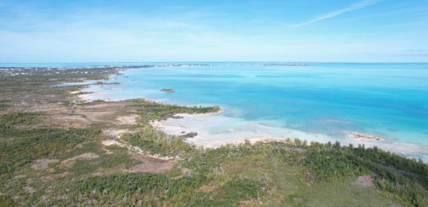 Cage’s Point Bluff