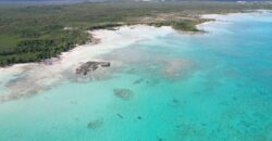 Cage’s Point Bluff