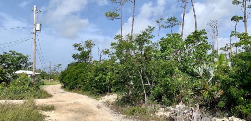 ARDEN FOREST LOT 3 BLK 13