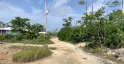 ARDEN FOREST LOT 3 BLK 13