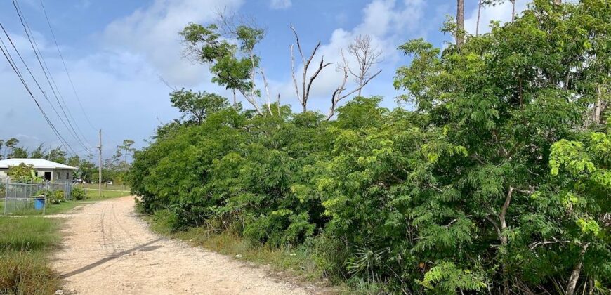 ARDEN FOREST LOT 3 BLK 13
