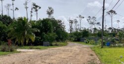 ARDEN FOREST LOT 4 BLK 13