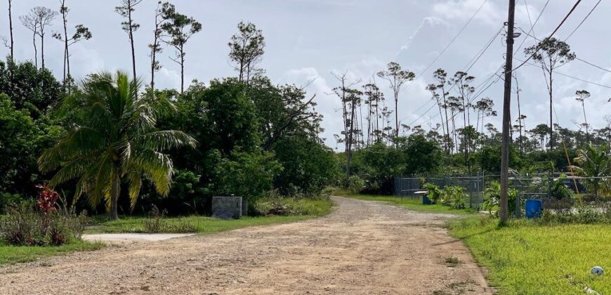 ARDEN FOREST LOT 4 BLK 13