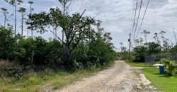 ARDEN FOREST LOT 4 BLK 13