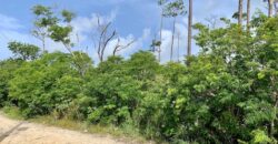 ARDEN FOREST LOT 4 BLK 13