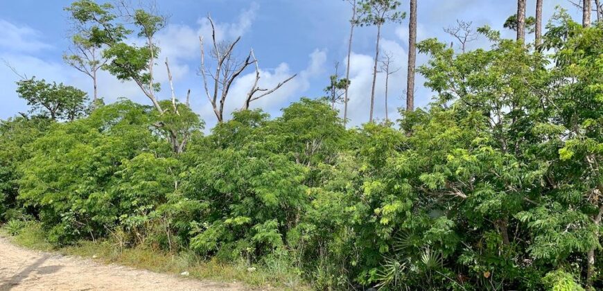 ARDEN FOREST LOT 4 BLK 13