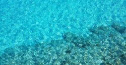 PIDGEON CAY