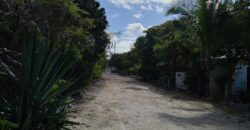 HERMITAGE-BEACHFRONT HERMITAGE-BEACHFRONT
