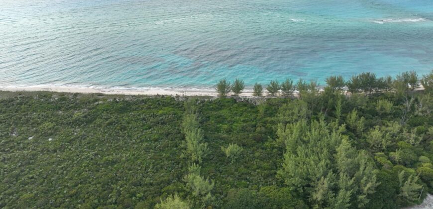 Bimini Acreage