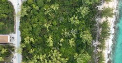 Bimini Acreage