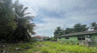 LOT #48 FOXDALE DRIVE LOT #48 FOXDALE DRIVE