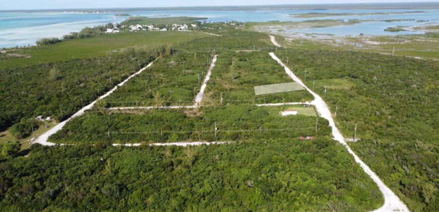 COMANCHE 7  WATCHING BAY