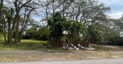 LOT #48 FOXDALE DRIVE LOT #48 FOXDALE DRIVE