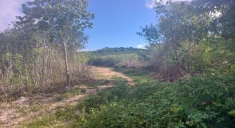 MANGROVE BUSH ACREAGE MANGROVE BUSH ACREAGE