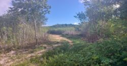 MANGROVE BUSH ACREAGE MANGROVE BUSH ACREAGE