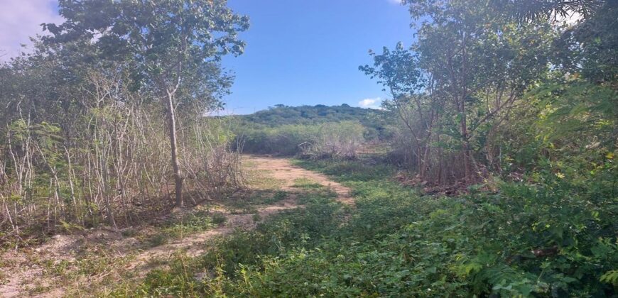 MANGROVE BUSH ACREAGE MANGROVE BUSH ACREAGE
