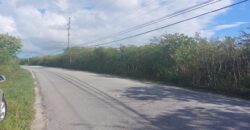 MANGROVE BUSH ACREAGE MANGROVE BUSH ACREAGE