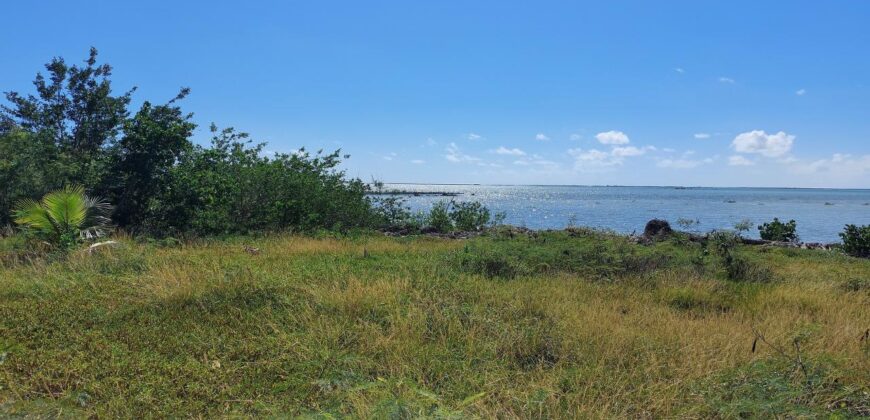 MANGROVE BUSH ACREAGE MANGROVE BUSH ACREAGE
