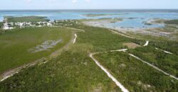 COMANCHE 7  WATCHING BAY