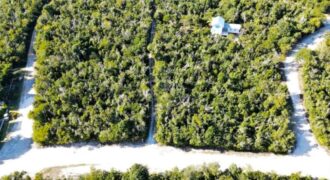 LOT 10, ABACO OCEAN CLUB