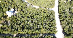 LOT 10, ABACO OCEAN CLUB