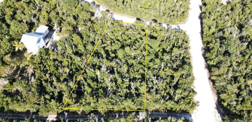 LOT 10, ABACO OCEAN CLUB