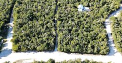 LOT 10, ABACO OCEAN CLUB