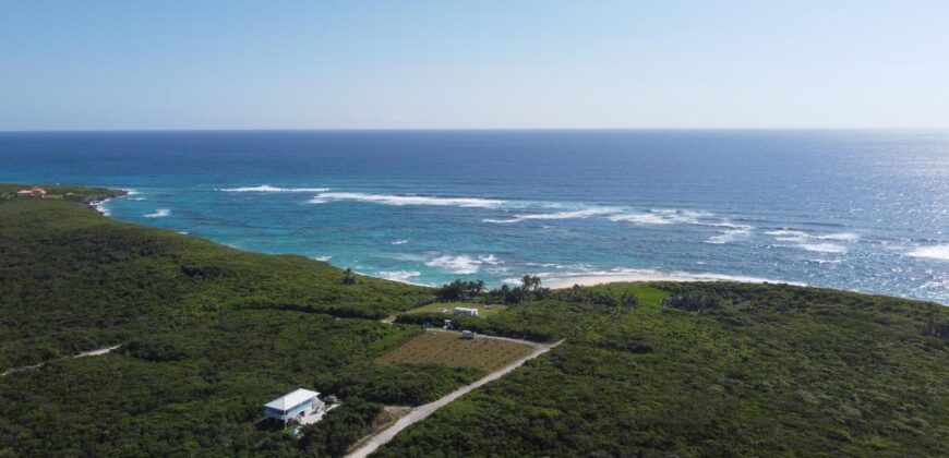 APACHELOT 4 WATCHING BAY