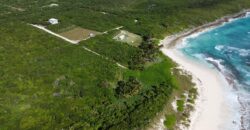 APACHELOT 4 WATCHING BAY