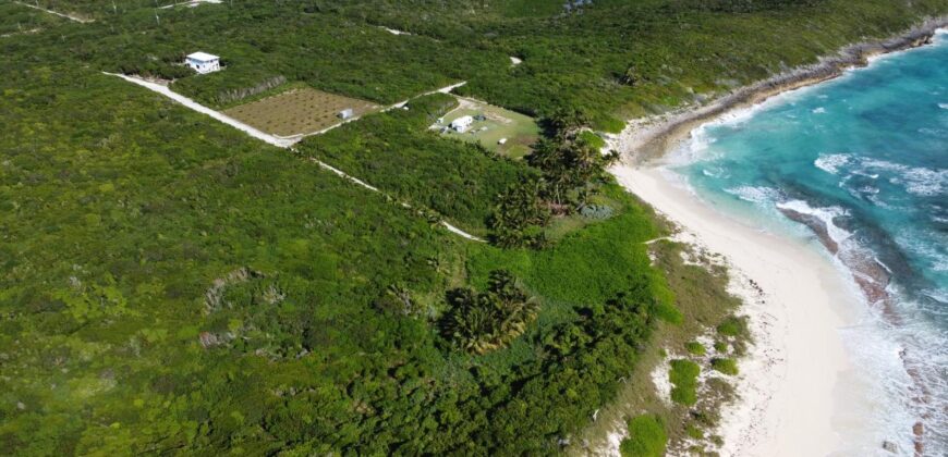 APACHELOT 4 WATCHING BAY