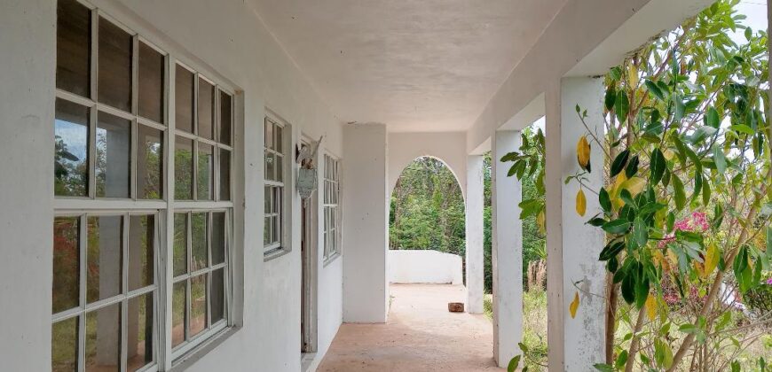 JOHNSON AVE, FOREST DRIVE