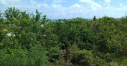 JOHNSON AVE, FOREST DRIVE