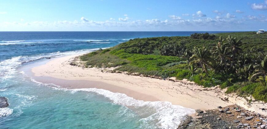 APACHELOT 4 WATCHING BAY