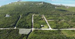 SIOUX LOT 1 WATCHING BAY