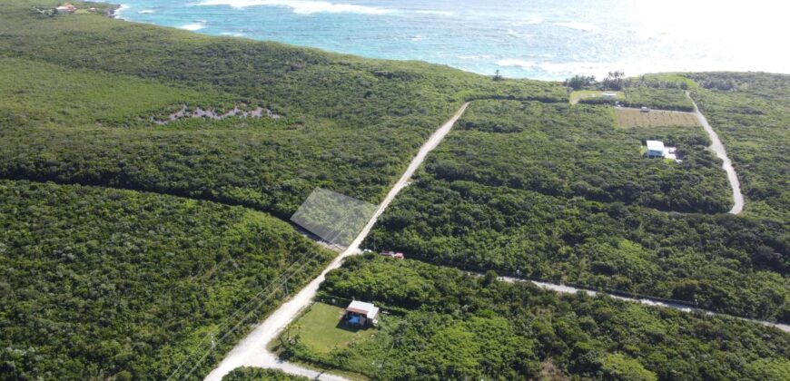 SIOUX LOT 1 WATCHING BAY