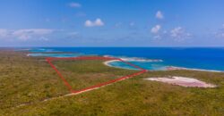 WOOD HILL, LONG ISLAND