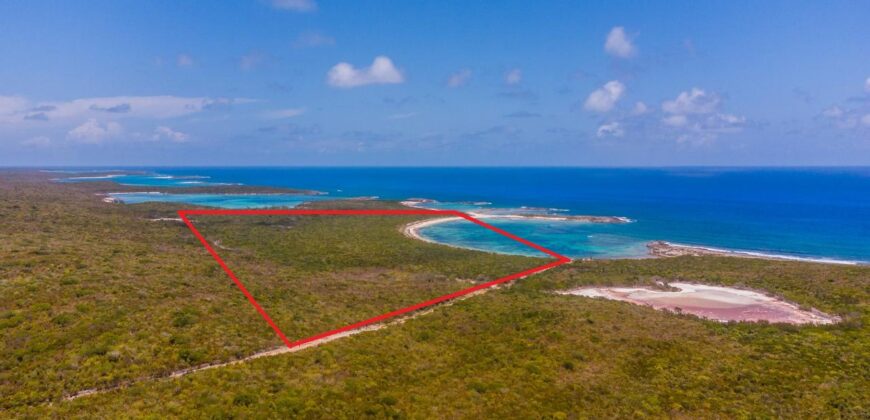 WOOD HILL, LONG ISLAND