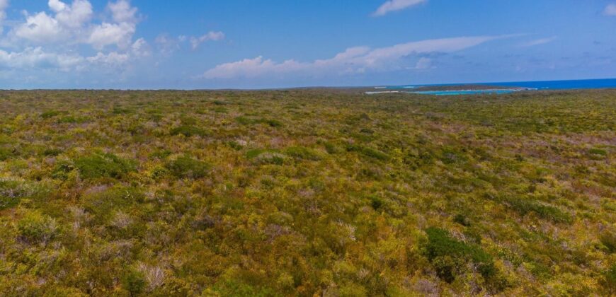 WOOD HILL, LONG ISLAND