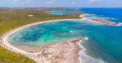 WOOD HILL, LONG ISLAND