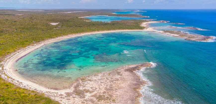 WOOD HILL, LONG ISLAND